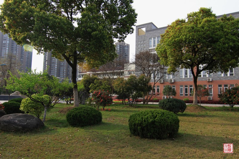 合肥二中2025年艺术类特色学校面向···